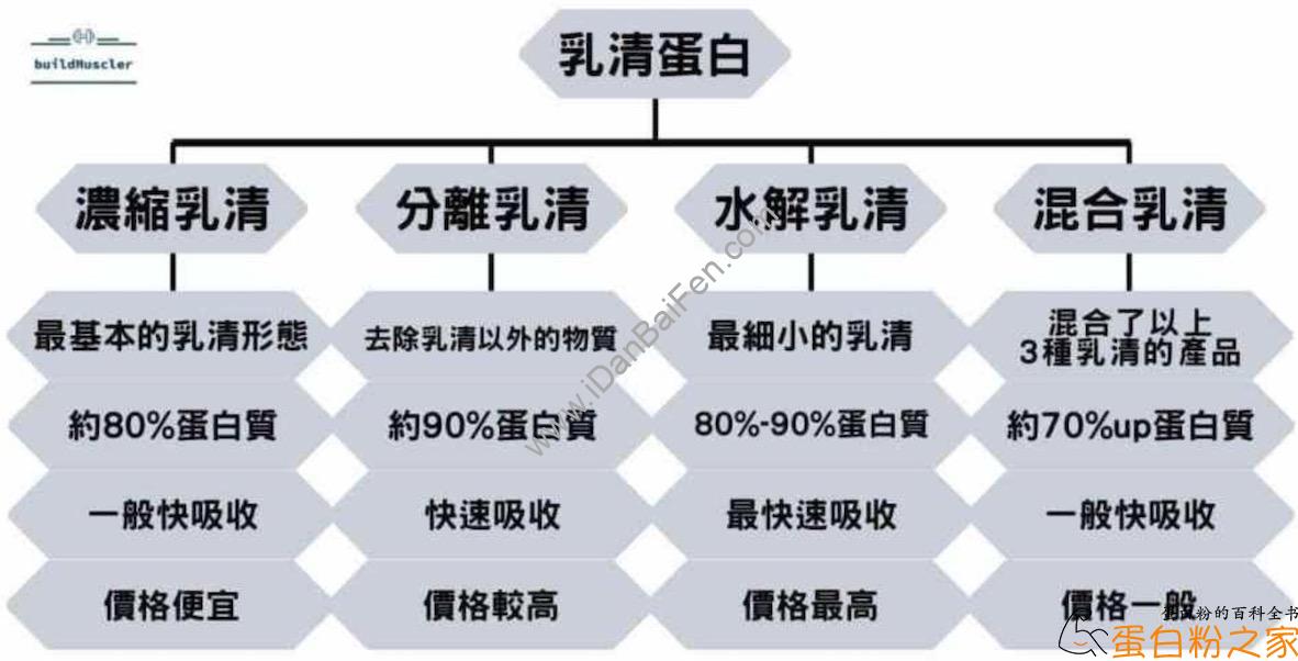 乳清蛋白种类比较